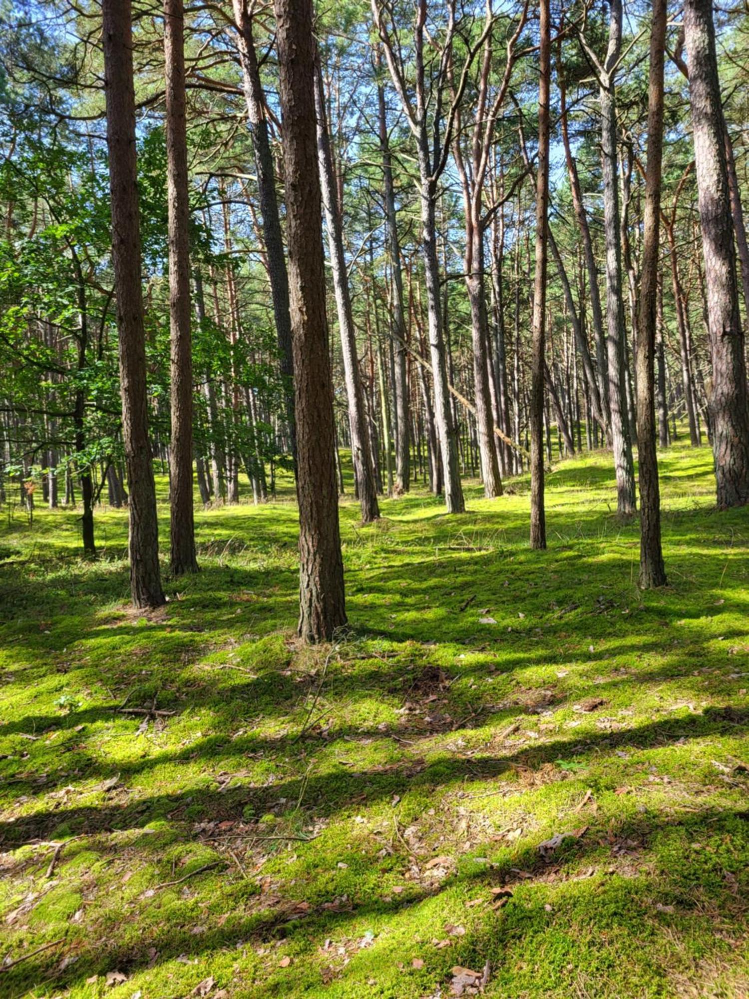 Apartamenty Promyk Wisełka Exteriör bild