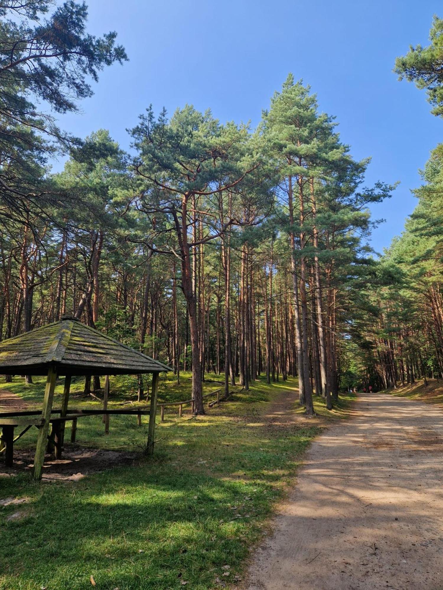 Apartamenty Promyk Wisełka Exteriör bild